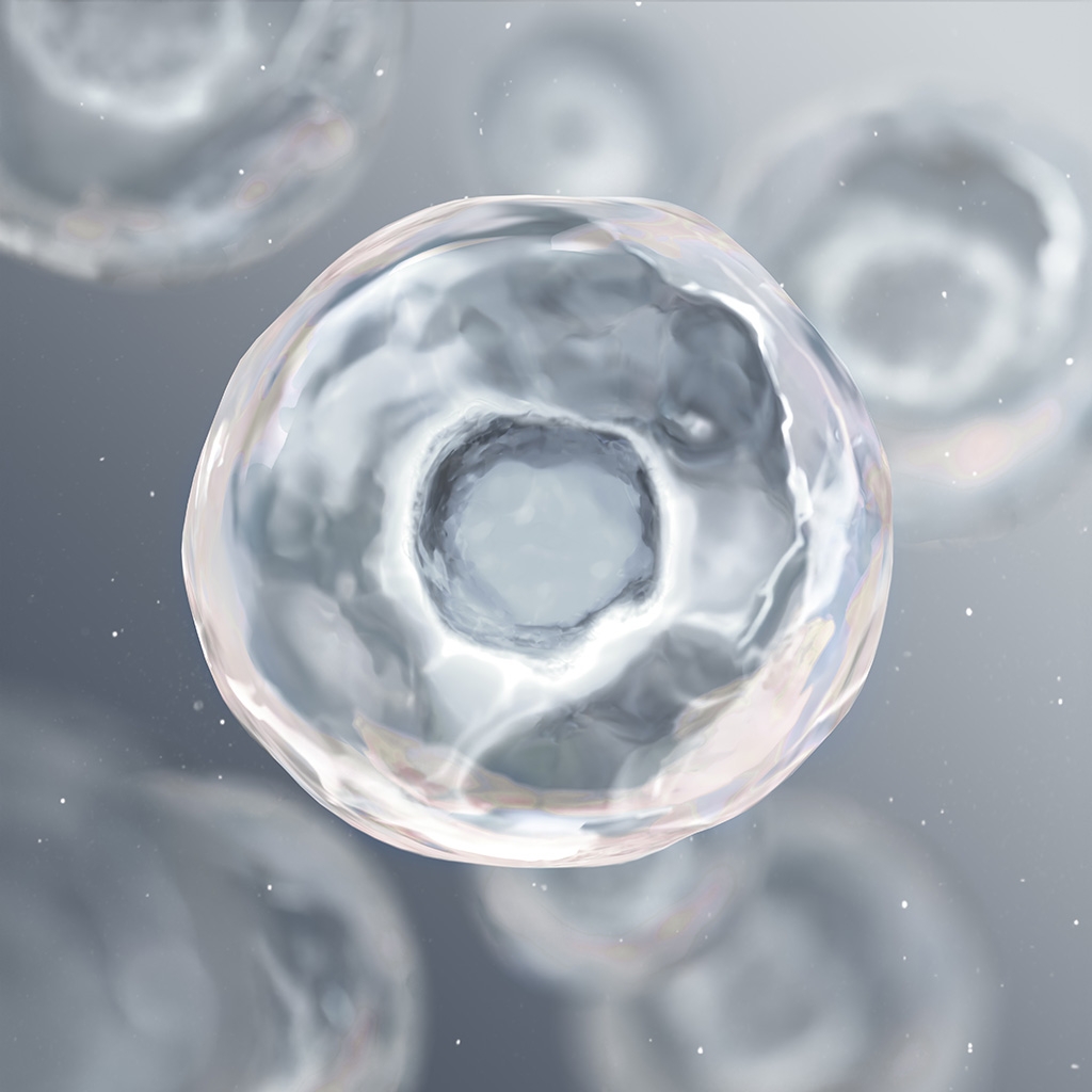 C-Concentrate Sérum - Ecobiological mode of action