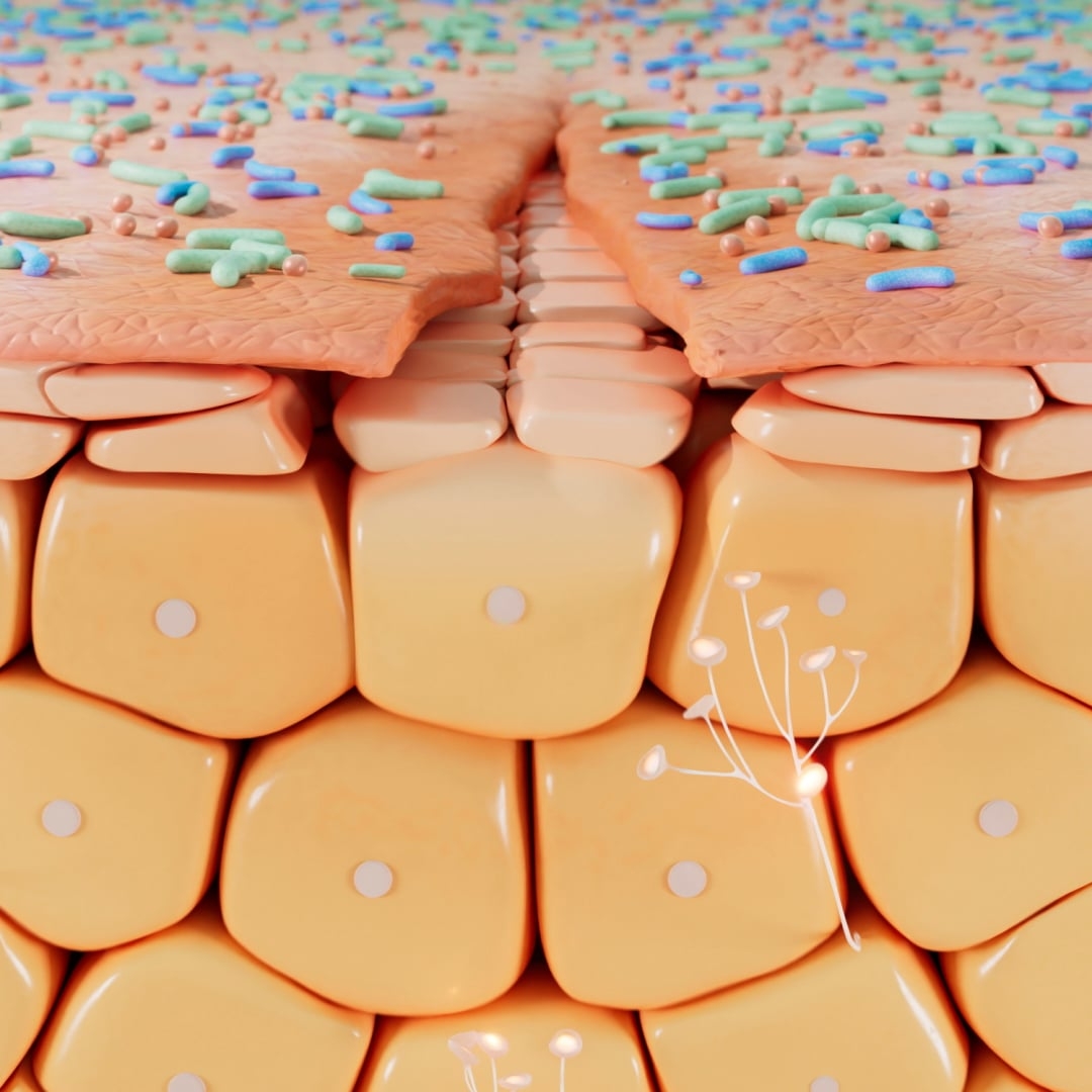 Creme+ - Ecobiological Mode of Action
