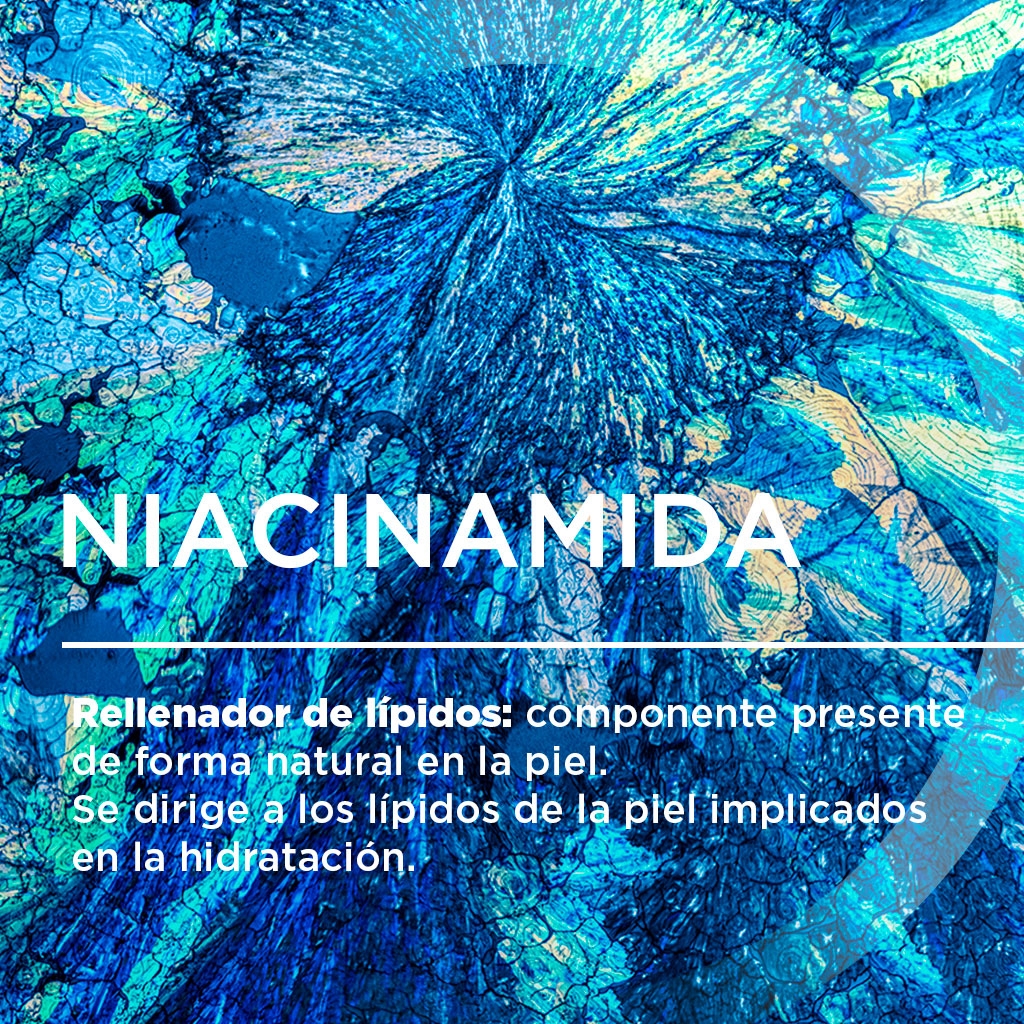 Gel de ducha - Composition