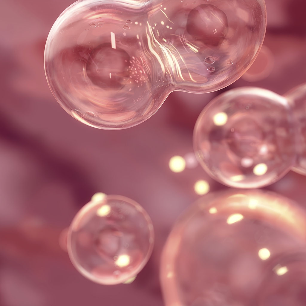 Lip Repair - Ecobiological Mode of Action
