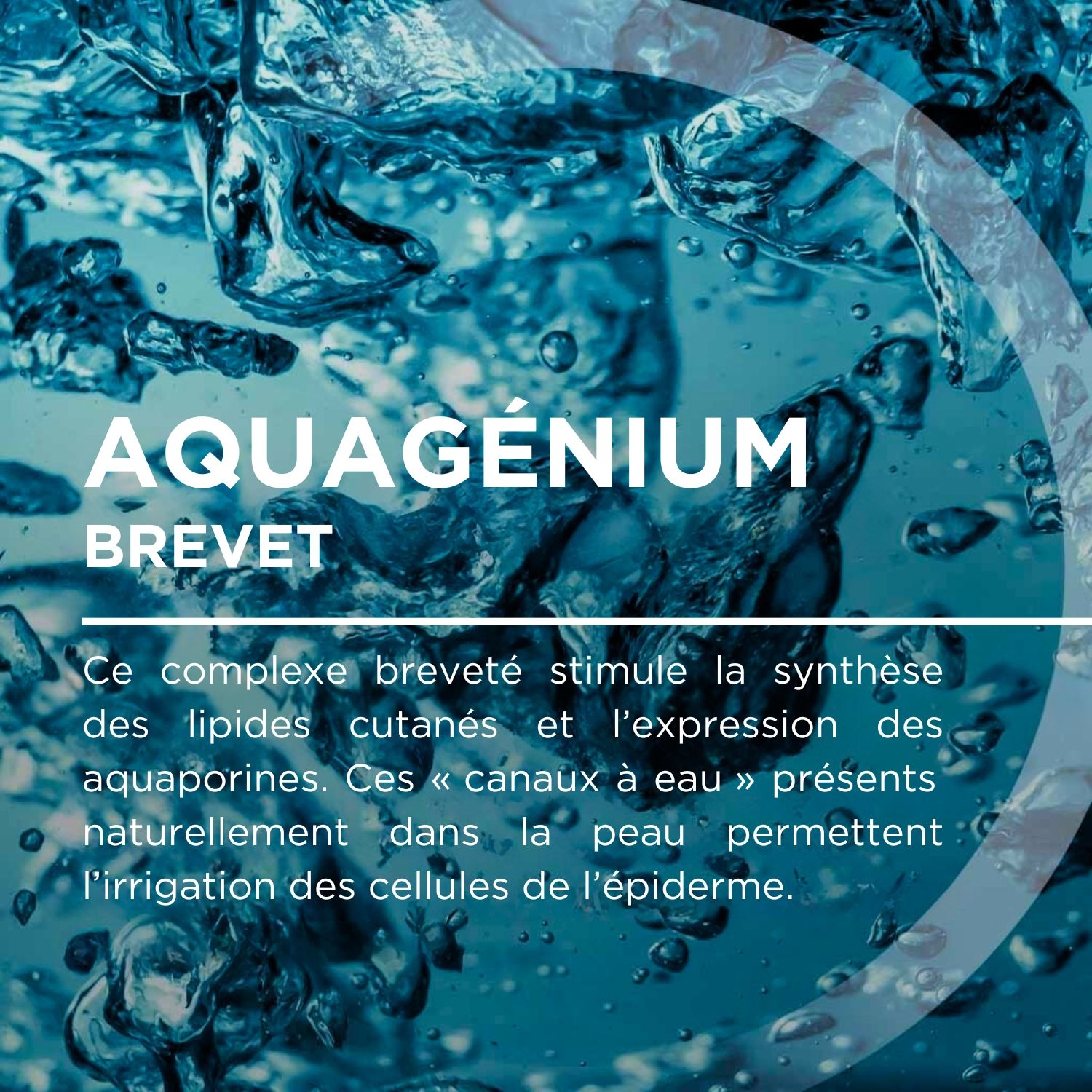 Sérum - Composition