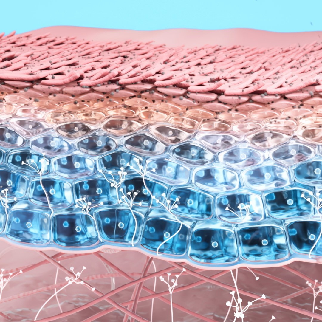 XDefense FPS50+ Tono Neutro